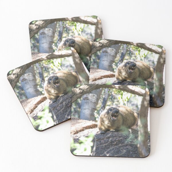 Item preview, Rock Hyrax On High Alert designed and sold by RPMouton.