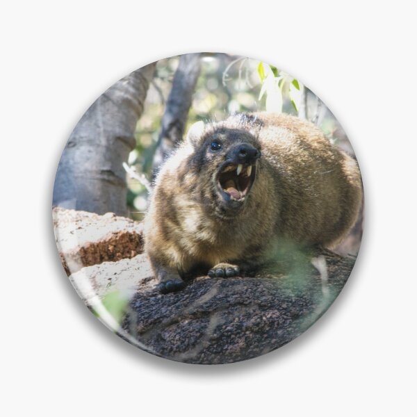 Item preview, Rock Hyrax On High Alert designed and sold by RPMouton.