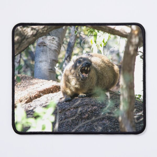 Item preview, Rock Hyrax On High Alert designed and sold by RPMouton.