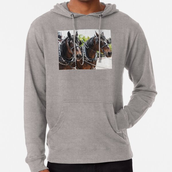 Horse discount racing hoodies