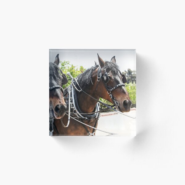 Wells Fargo Home Living Redbubble - norfolk southern horse roblox