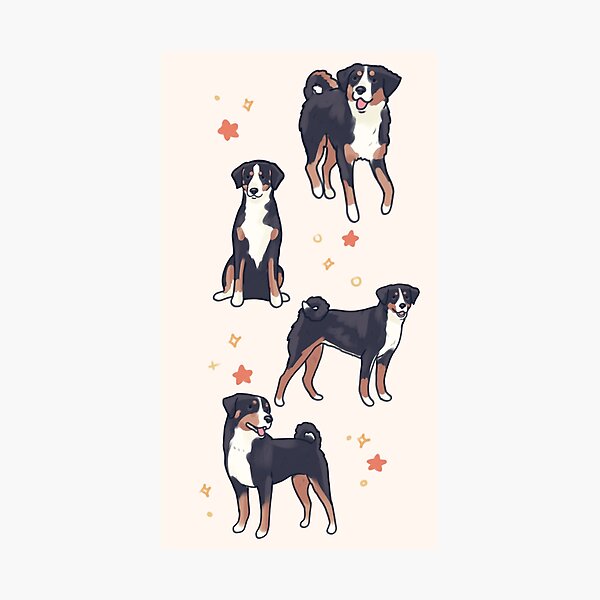 Item preview, Cute sennenhund dogs designed and sold by Artofmayara.