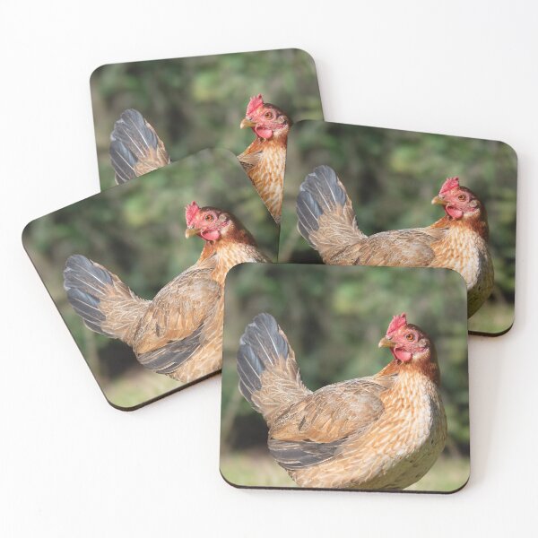 Item preview, Old English Game Bantam designed and sold by Idleduck.