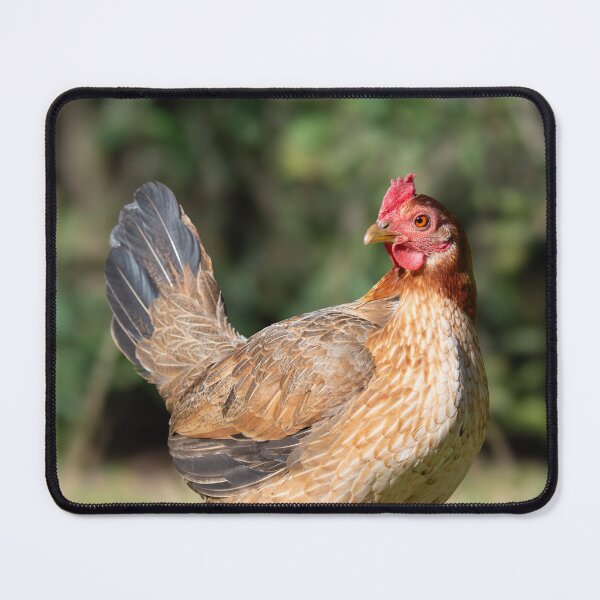Item preview, Old English Game Bantam designed and sold by Idleduck.