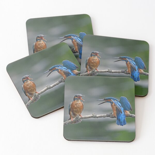 Item preview, Kingfisher Pair Getting Vocal designed and sold by ClaireChown.