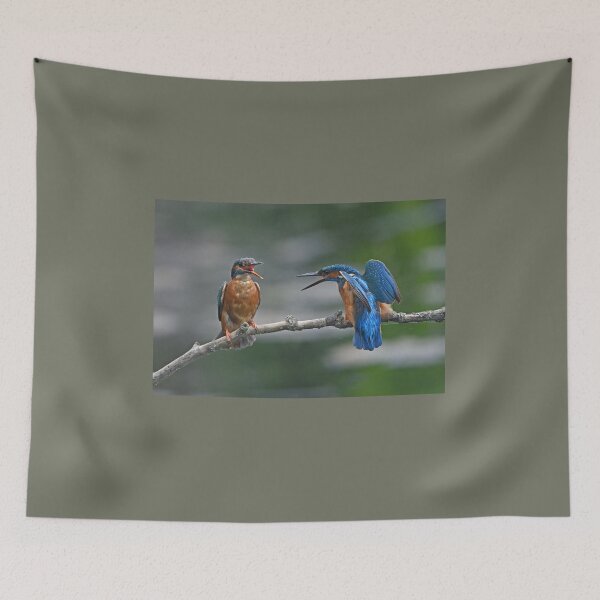 Item preview, Kingfisher Pair Getting Vocal designed and sold by ClaireChown.