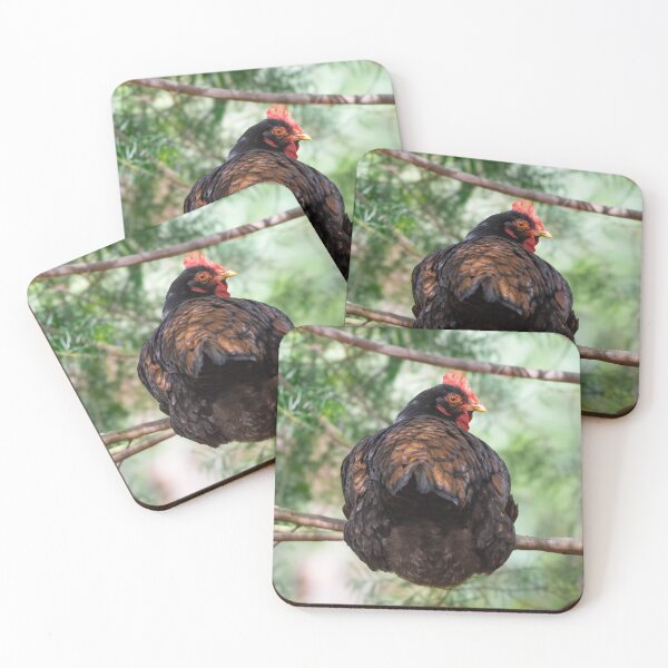 Item preview, Gold Laced Barnevelder designed and sold by Idleduck.