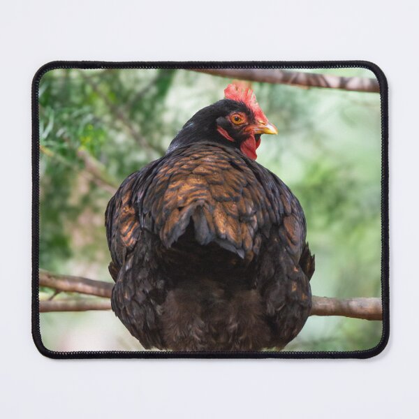 Item preview, Gold Laced Barnevelder designed and sold by Idleduck.