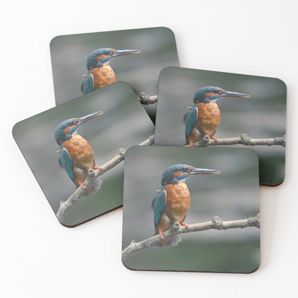 Item preview, Female Kingfisher on perch designed and sold by ClaireChown.