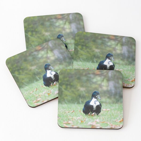 Item preview, Cayuga designed and sold by Idleduck.