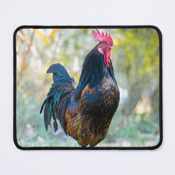 Item preview, Rooster designed and sold by Idleduck.