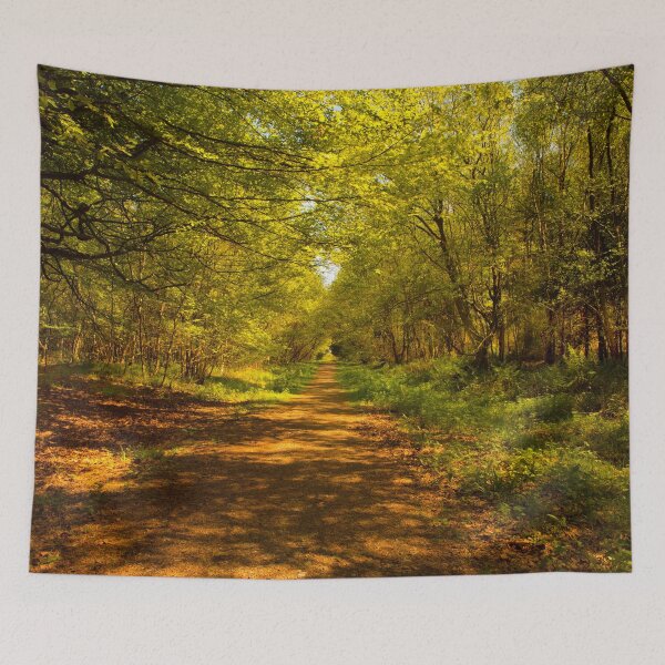 Item preview, Woodland Views. designed and sold by Dave Hare Photography.