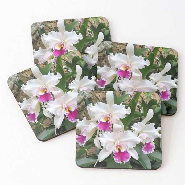 Item preview, Cattleya Orchids designed and sold by The Happiness Market .