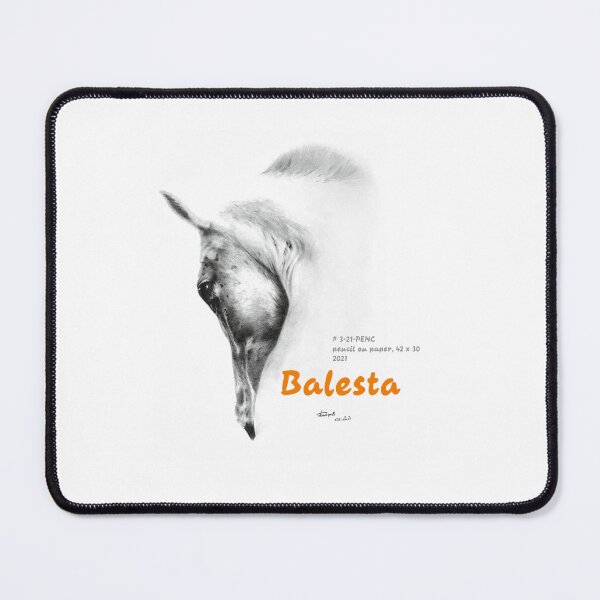 Item preview, Balesta designed and sold by BOYTSOV.