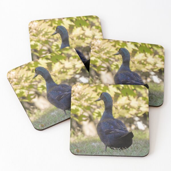 Item preview, Cayuga designed and sold by Idleduck.