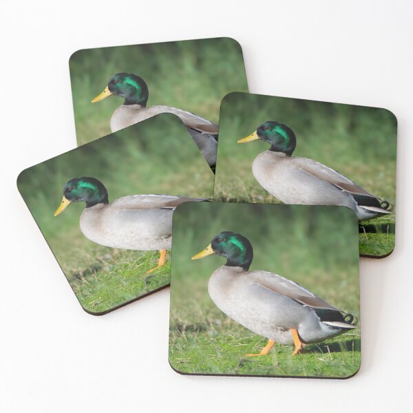 Item preview, Australian Call designed and sold by Idleduck.