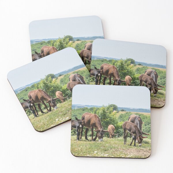 Item preview, Donkeys and Daisies designed and sold by Jane Stanley Photography.