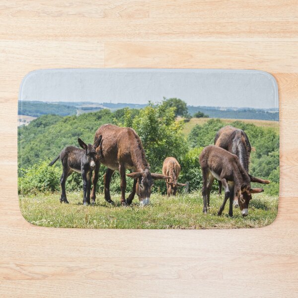 Item preview, Donkeys and Daisies designed and sold by Jane Stanley Photography.