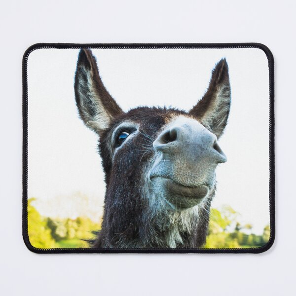 Item preview, Donkey designed and sold by Jane Stanley Photography.