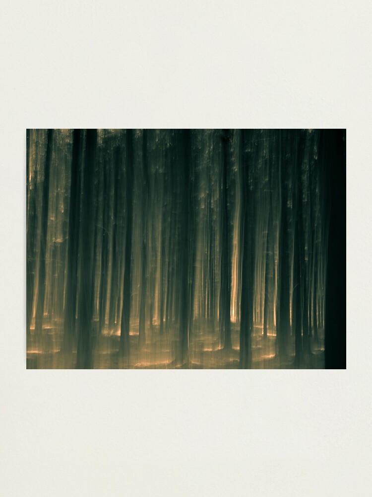 Alternate view of Lost Photographic Print