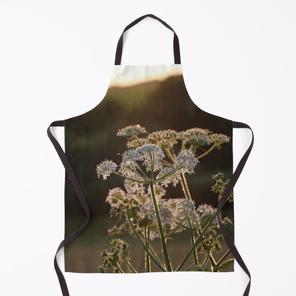 Item preview, Plant in the last evening light designed and sold by SabineBeckmann.