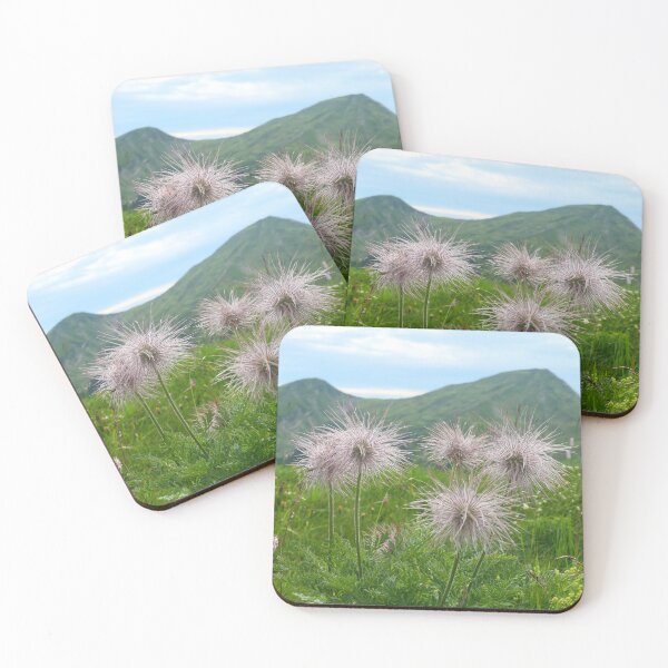 Item preview, White Alpine Anemone designed and sold by ChicVoyagePics.