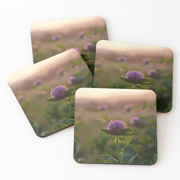 Item preview, Clover blossom in the most beautiful morning light designed and sold by SabineBeckmann.