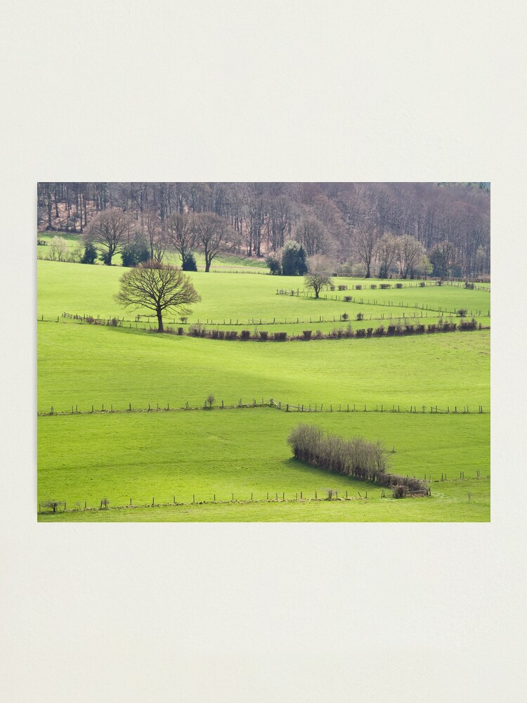 Alternate view of Jalhay1 Photographic Print