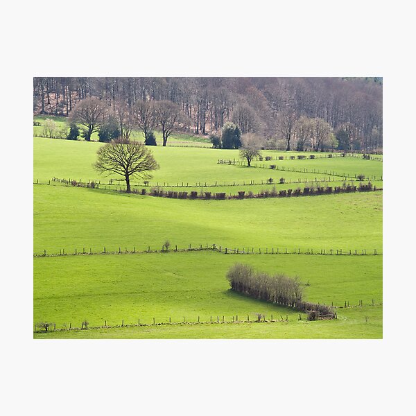 Jalhay1 Photographic Print