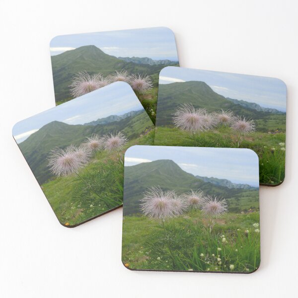 Item preview, White Alpine Anemones designed and sold by ChicVoyagePics.