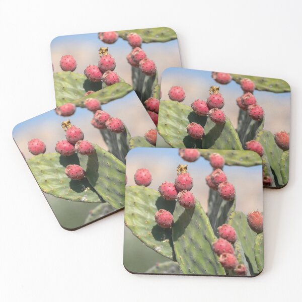 Item preview, Italy. Sicily. Agrigento. Park of the Valley of the Temples. Prickly pear. designed and sold by vadim19.