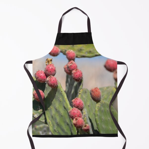 Item preview, Italy. Sicily. Agrigento. Park of the Valley of the Temples. Prickly pear. designed and sold by vadim19.