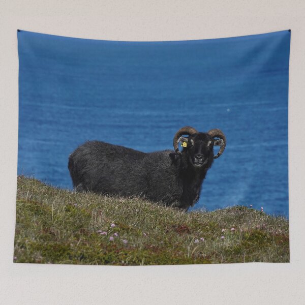 Item preview, Icelandic sheep with a seaview designed and sold by elisainiceland.