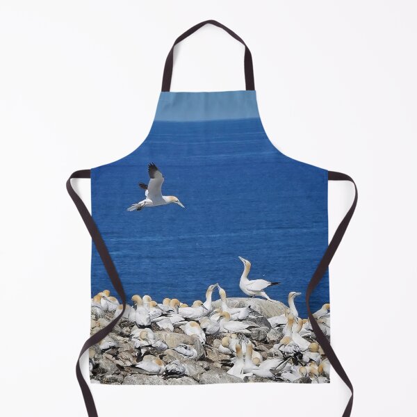 Item preview, Northern Gannets meeting designed and sold by elisainiceland.