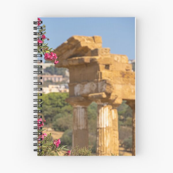 Item preview, Italy. Sicily. Agrigento. Park of the Valley of the Temples. Temple of Dioscuri. designed and sold by vadim19.