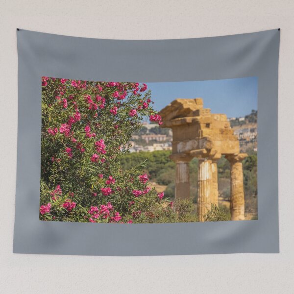 Item preview, Italy. Sicily. Agrigento. Park of the Valley of the Temples. Temple of Dioscuri. designed and sold by vadim19.