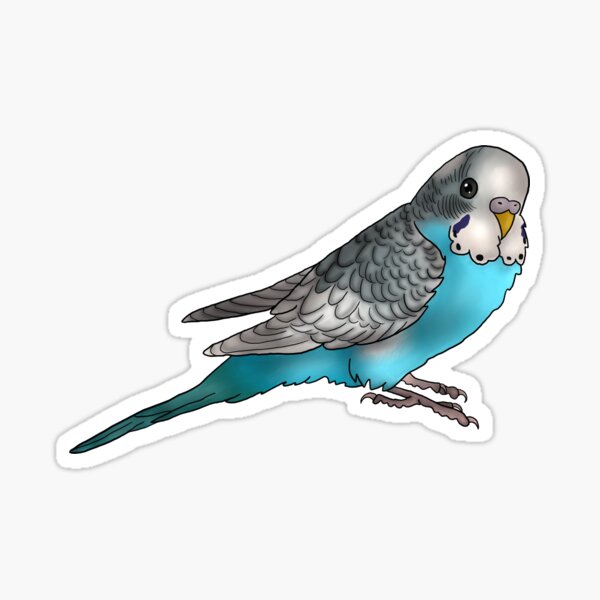 Item preview, Rocky the Parakeet designed and sold by Catherine  Landeros.