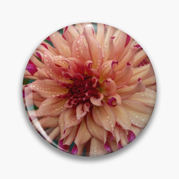 Item preview, Peach Dahlia Flower Closeup With Rain Drops On Petals designed and sold by Harmony Of The Mind.
