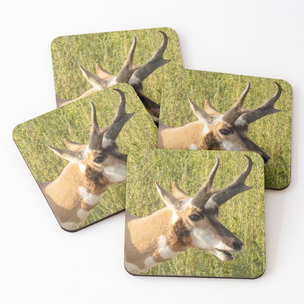 Item preview, Antelope In The Wild Profile designed and sold by FreelanceJim.