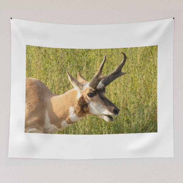 Item preview, Antelope In The Wild Profile designed and sold by FreelanceJim.