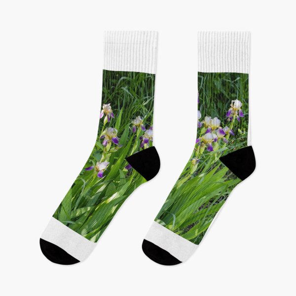 Item preview, A Garden Of Iris Flowers designed and sold by FreelanceJim.