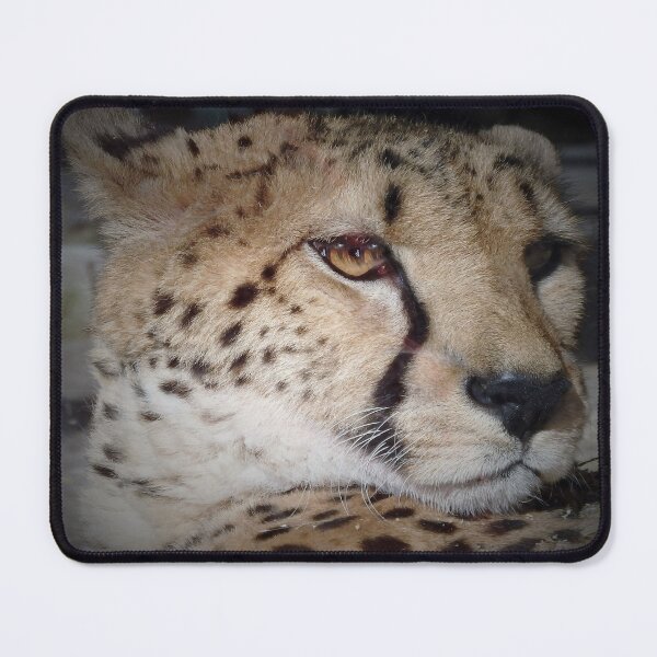 Item preview, GEPARD designed and sold by RachelMacht.