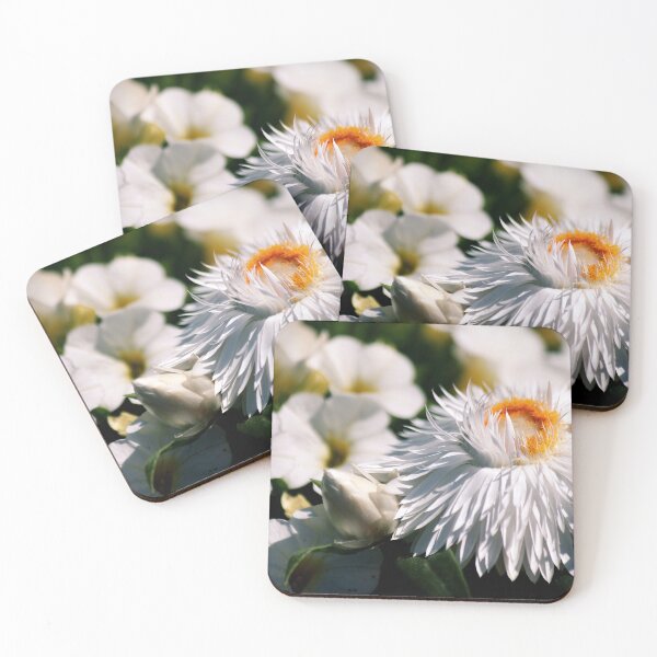 Item preview, Strawflowers & Superbells  designed and sold by photoclique.