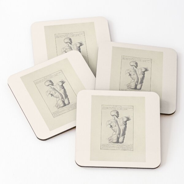 Item preview, Body Sketch Scientific Medical Anatomy Illustration designed and sold by Lacasadellora.