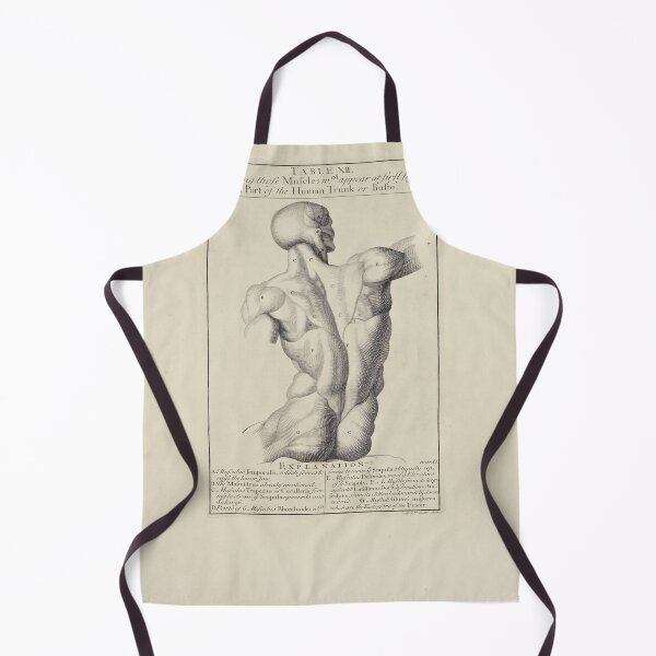 Item preview, Body Sketch Scientific Medical Anatomy Illustration designed and sold by Lacasadellora.