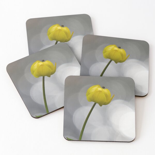 Item preview, Fly high. Globeflower designed and sold by Jouko Lehto Photography.