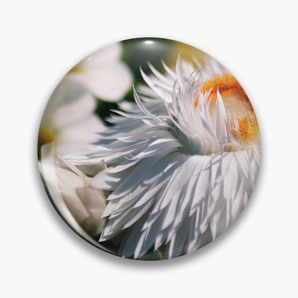 Item preview, Strawflowers & Superbells  designed and sold by photoclique.