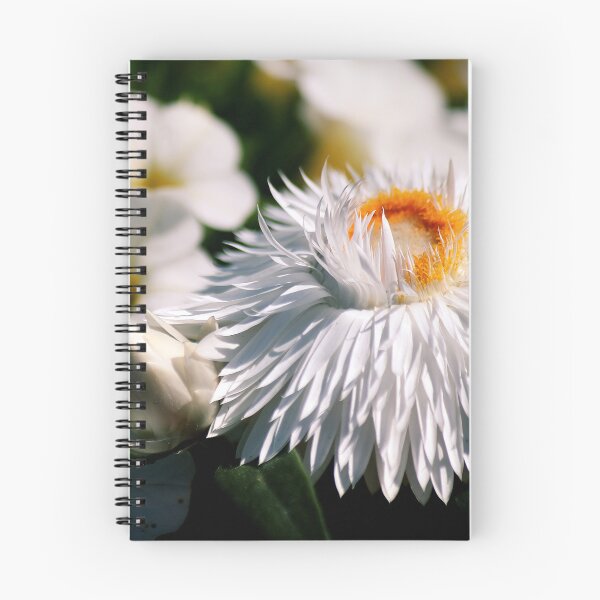 Item preview, Strawflowers & Superbells  designed and sold by photoclique.