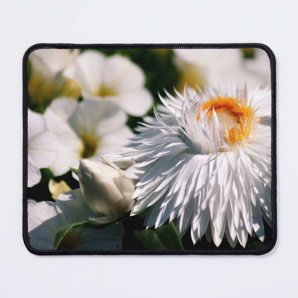 Item preview, Strawflowers & Superbells designed and sold by photoclique.
