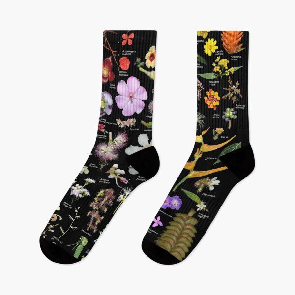 Item preview, Flora of Finca Anjala, Costa Rica designed and sold by Ricardo Kriebel.
